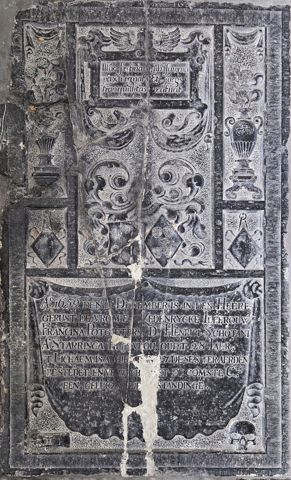 A-13-03-00050 -Gea Neijsen