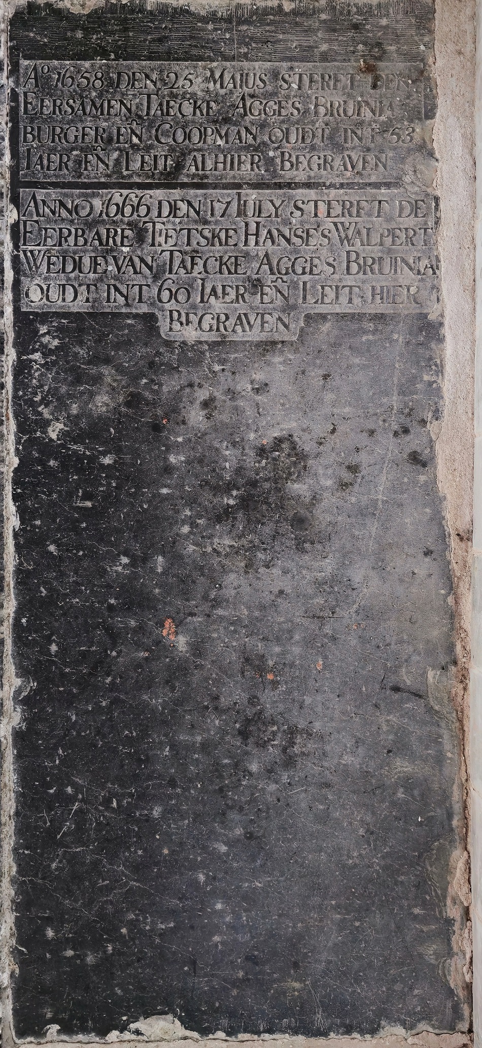 A-13-03-00186 -Gea Neijsen