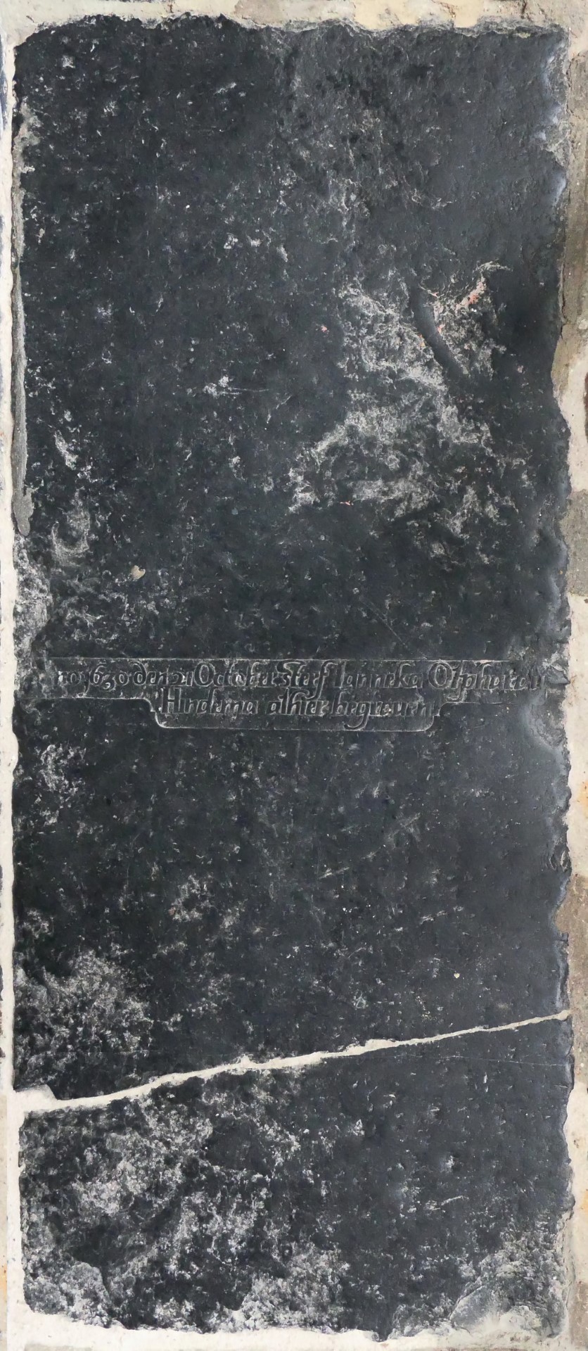 A-13-03-00207 Gerrit de Vries 10 nov